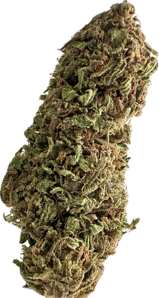 Fleur Cannabis BOTADREAM Outdoor - Produit en Bretagne